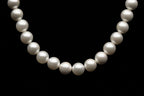 10mm White Seashell Pearl Necklace