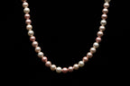 8mm Gradient Pink Seashell Pearl Necklace