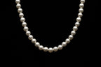 8mm White Seashell Pearl Necklace