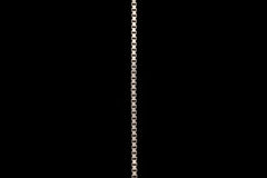 Box Chain Bracelet