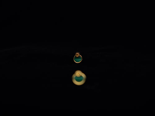 Round Malachite Earring