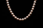 8mm Light Pink Seashell Pearl Necklace