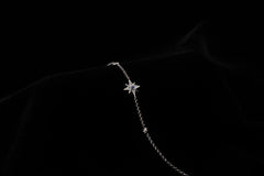 Celeste-e-Polaris North Star Bracelet