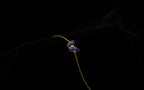 Farasha Lapis Lazuli Bracelet