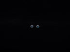 Round Moissanite Earring (Blue)